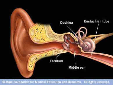 Swollen Behind Ear